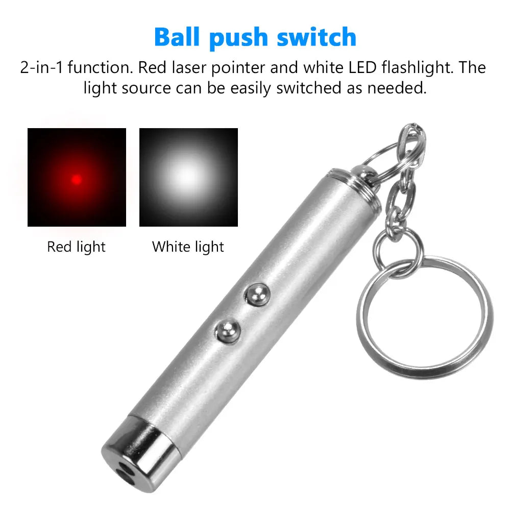 Laser Cat & Dog LED Pointer
cat