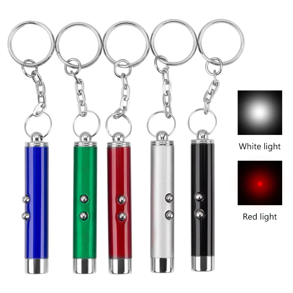 Laser Cat & Dog LED Pointer
cat