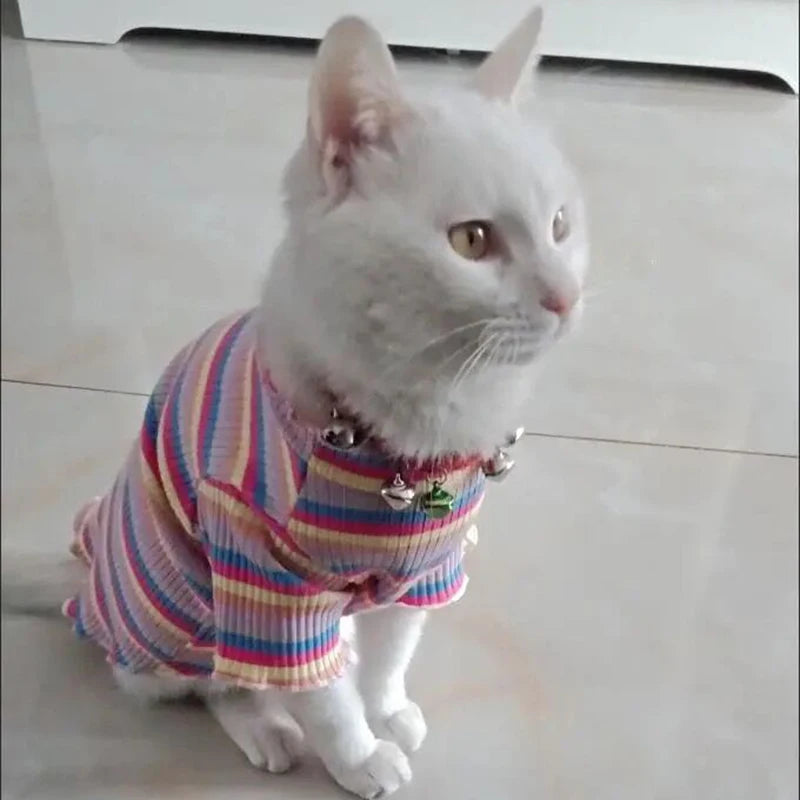 Cat Puppy Striped Shirt