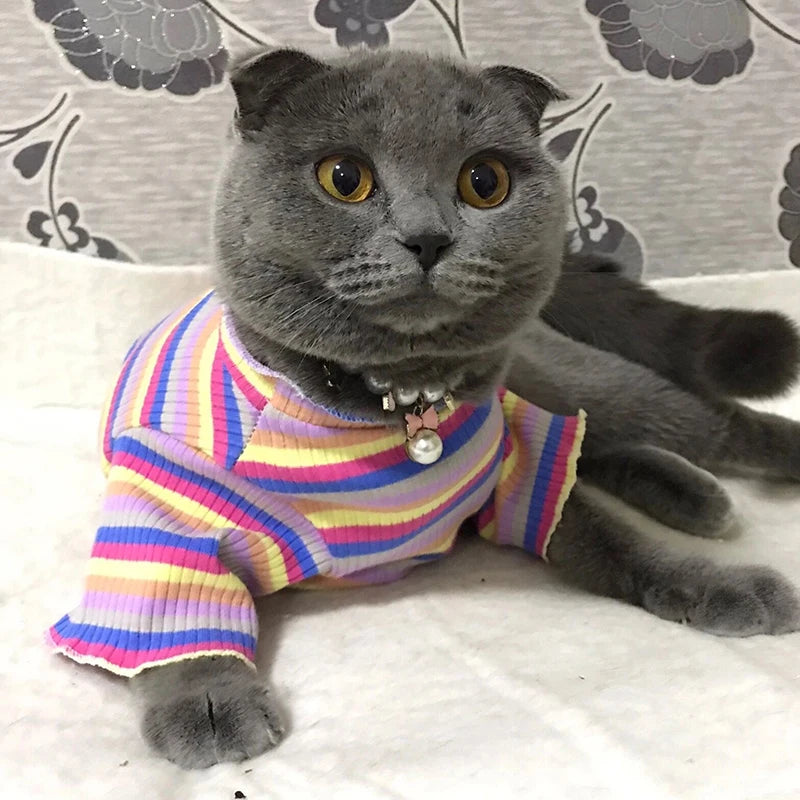 Cat Puppy Striped Shirt