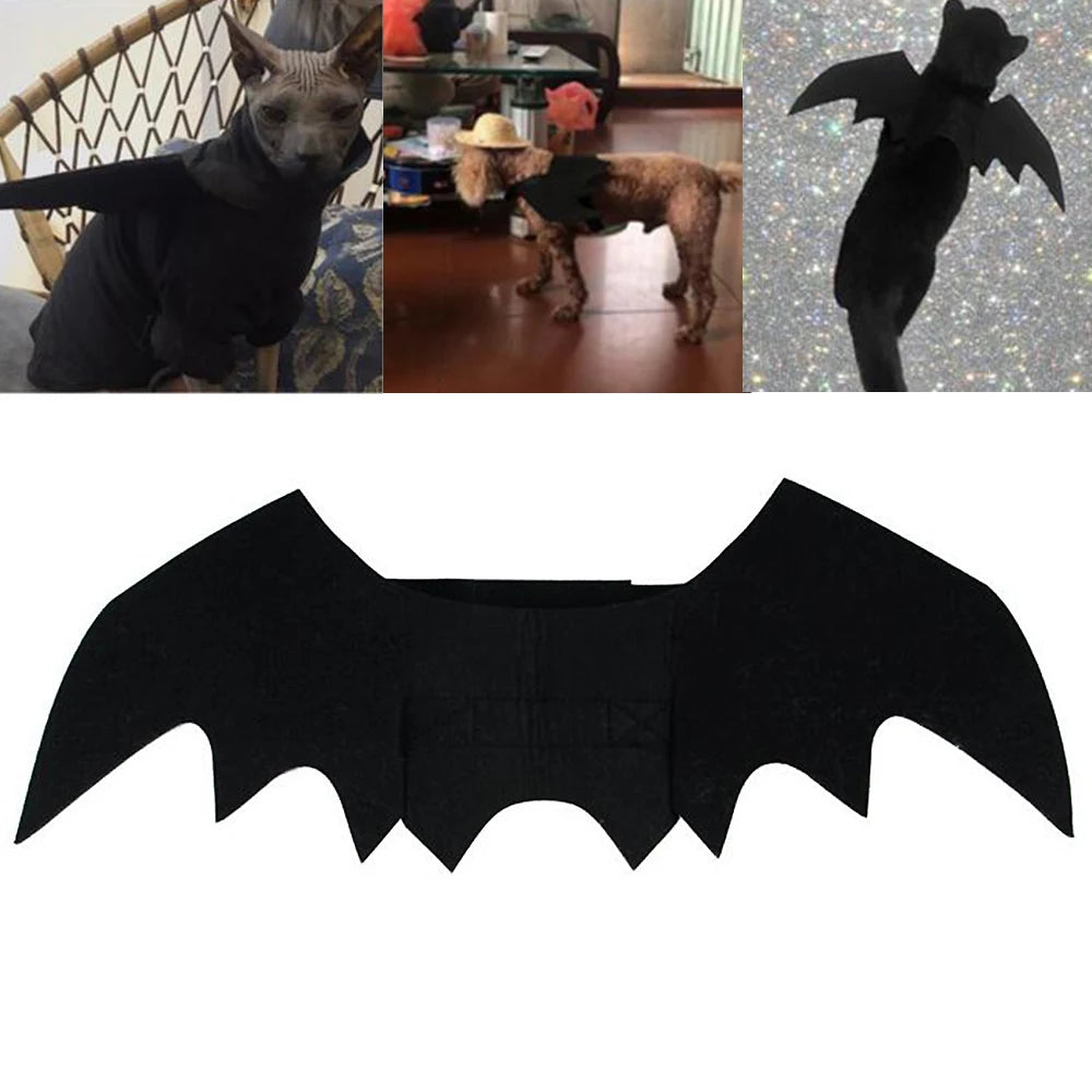 Cat Dog Bat Wings Halloween