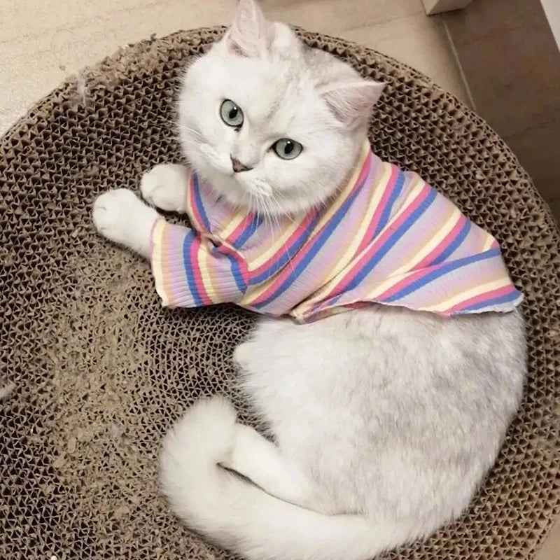 Cat Puppy Striped Shirt