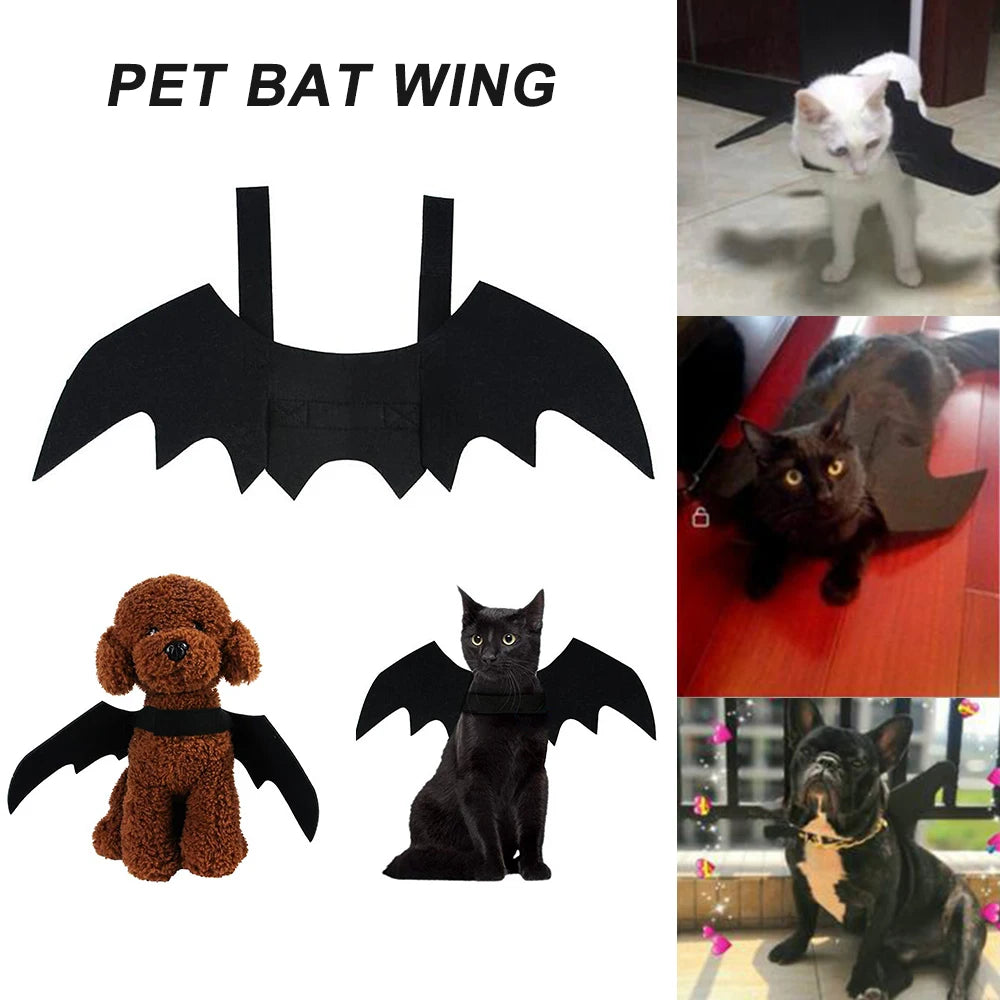 Cat Dog Bat Wings Halloween