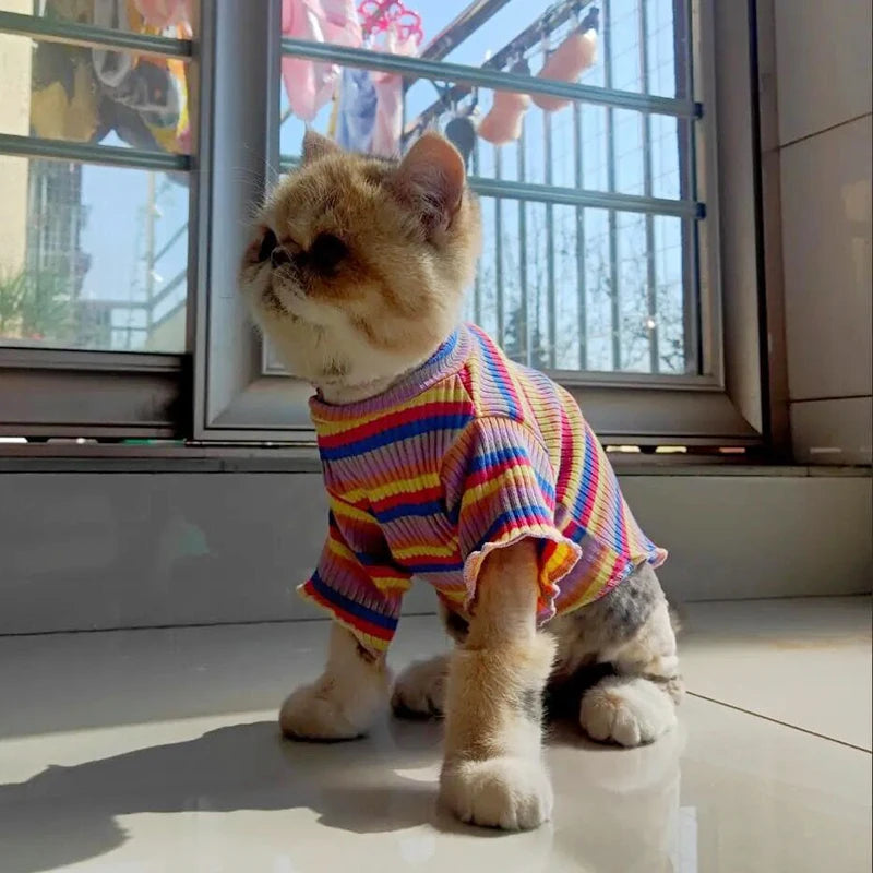 Cat Puppy Striped Shirt