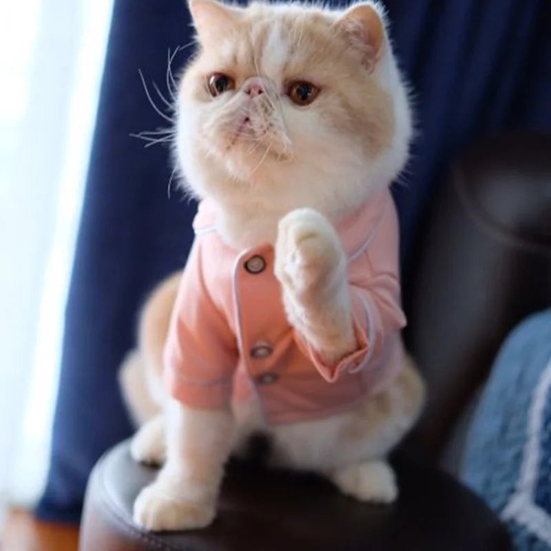 Stylish Cat & Small Dog Soft Pajamas