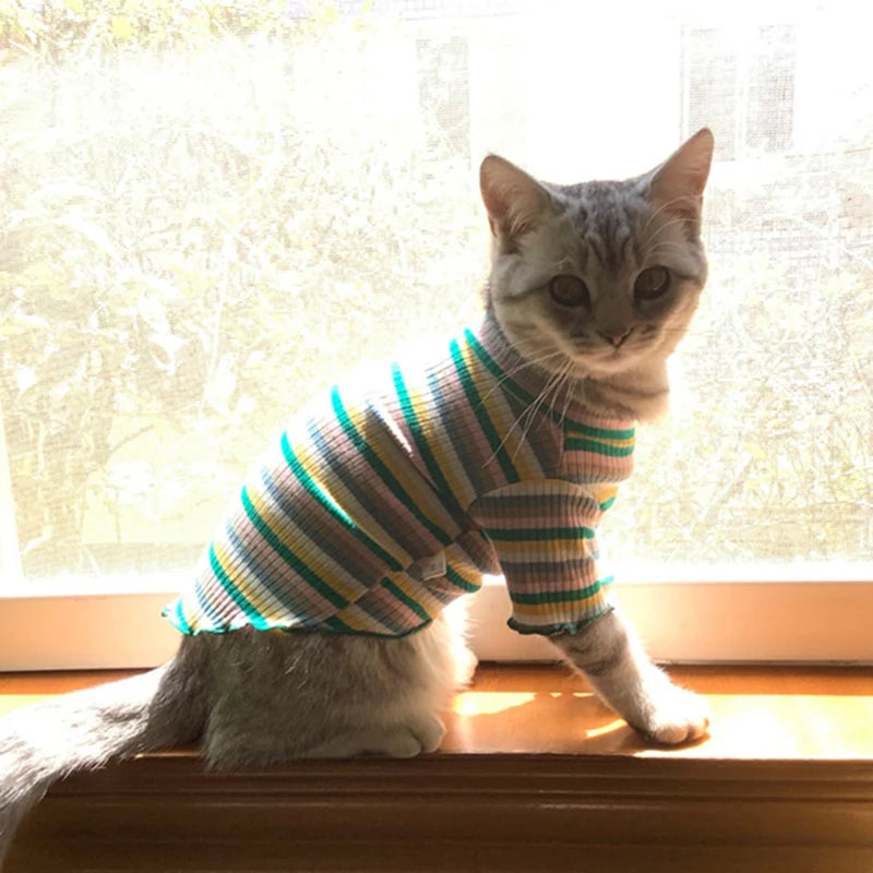 Cat Puppy Striped Shirt