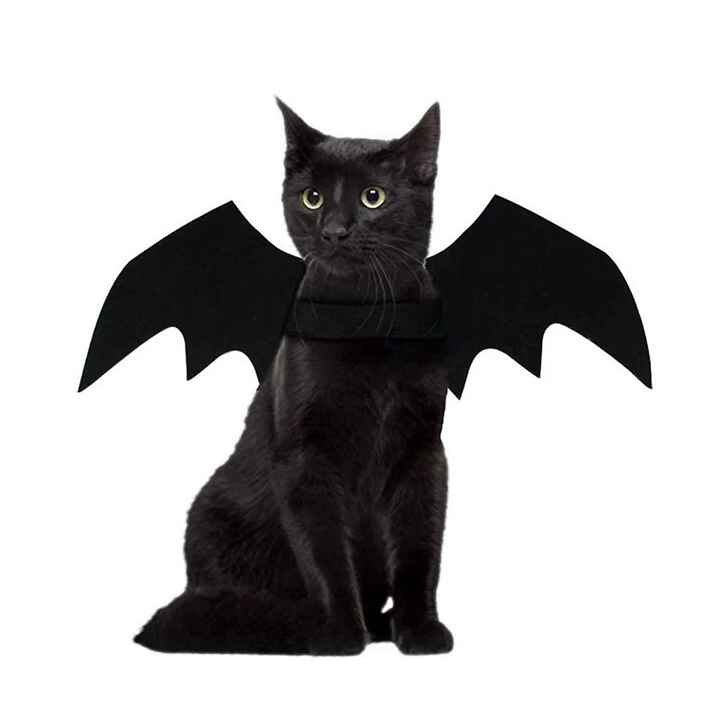 Cat Dog Bat Wings Halloween