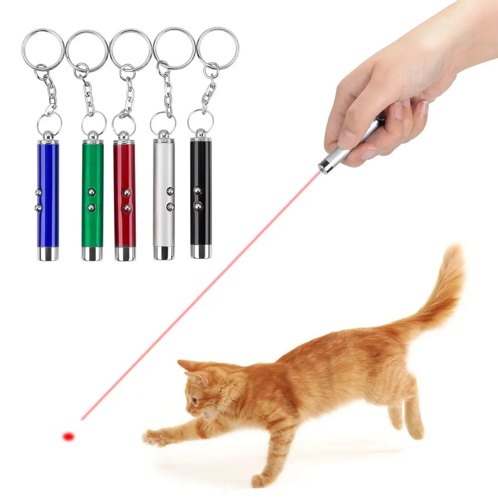 Laser Cat & Dog LED Pointer








cat