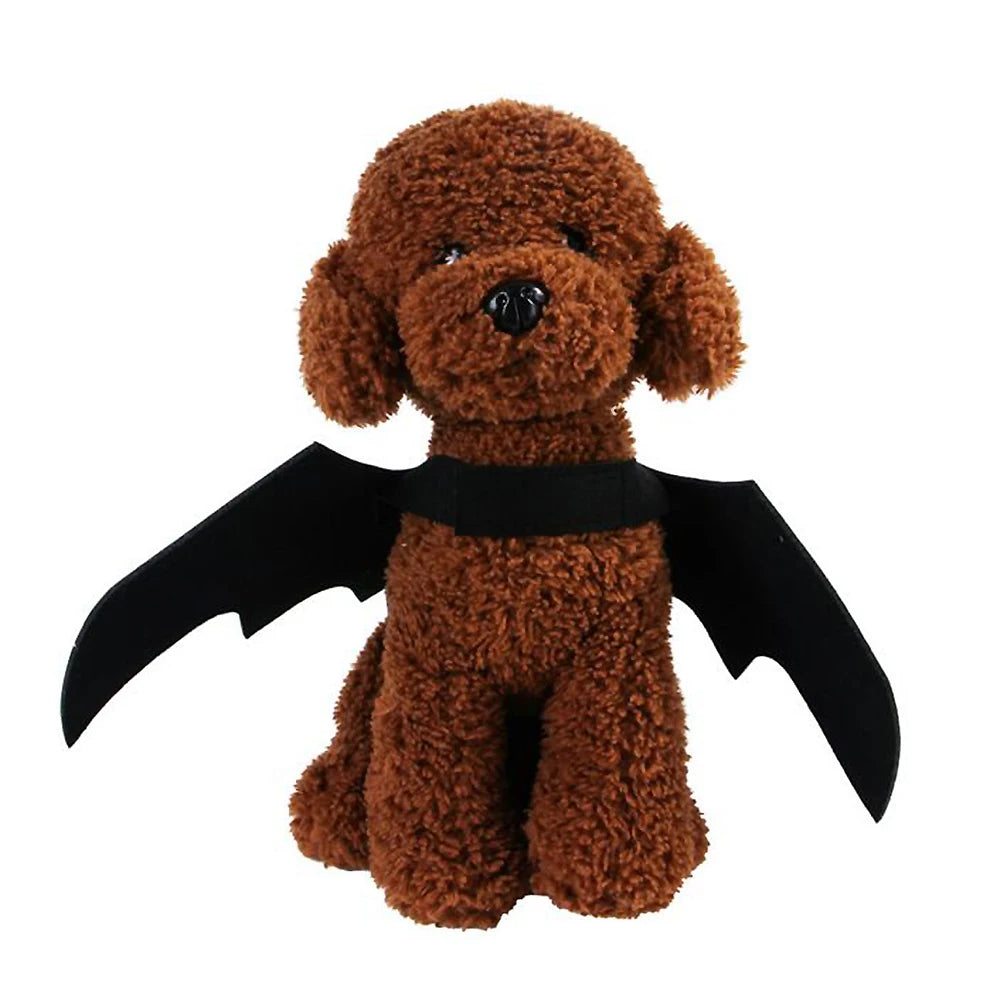 Cat Dog Bat Wings Halloween