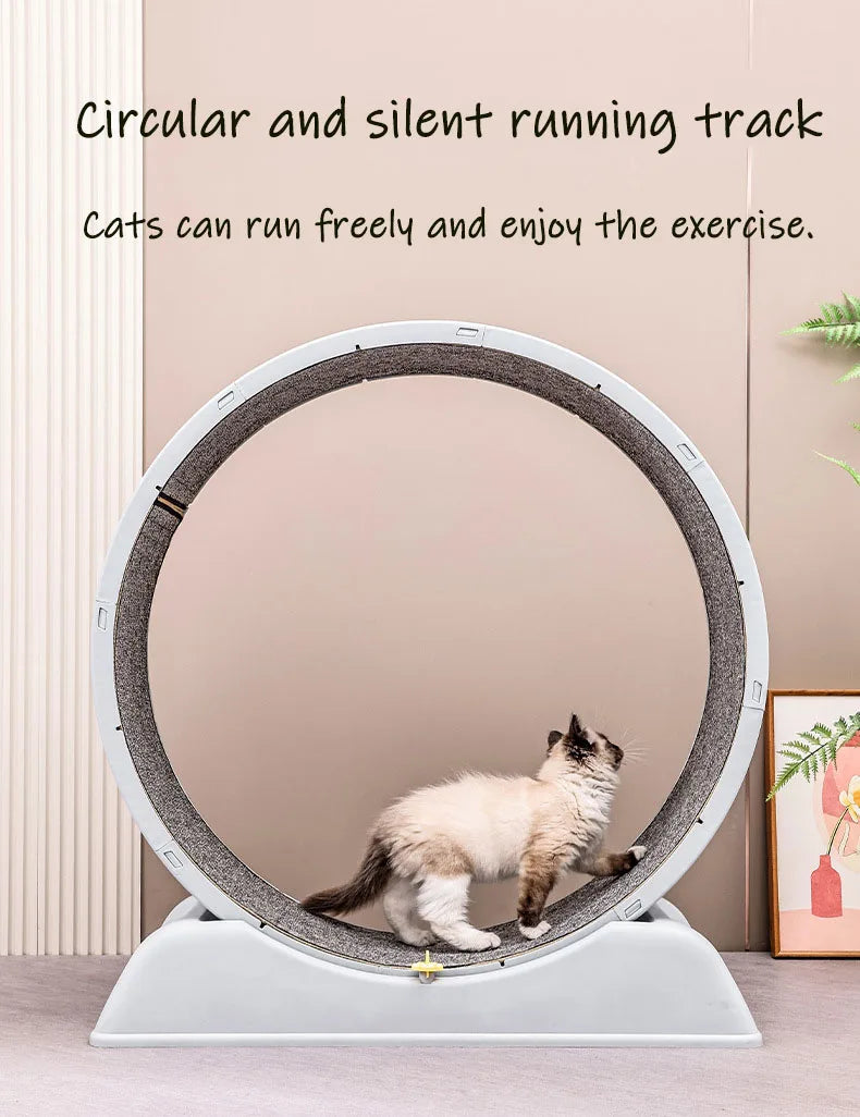 Cat Treadmill Exercise Wheel Indoor Gym