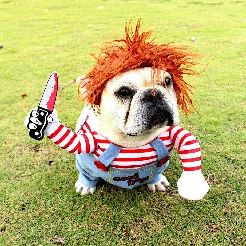 Dog Cat Chucky Costume