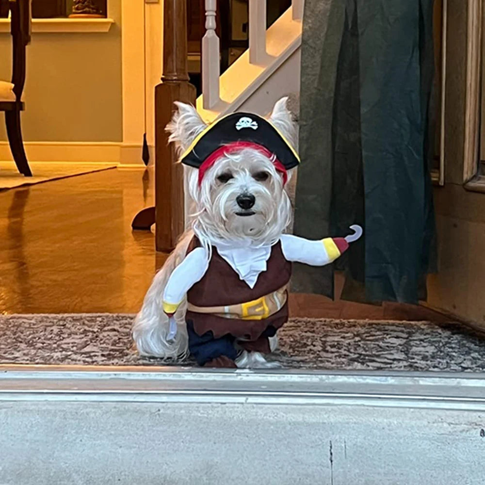 Cat Dog Halloween Pirate Costume