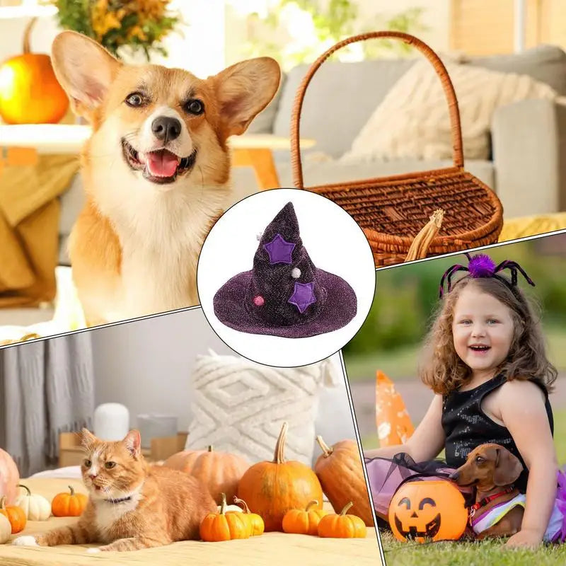 Cat Dog Vampire Cape & Witch Hat