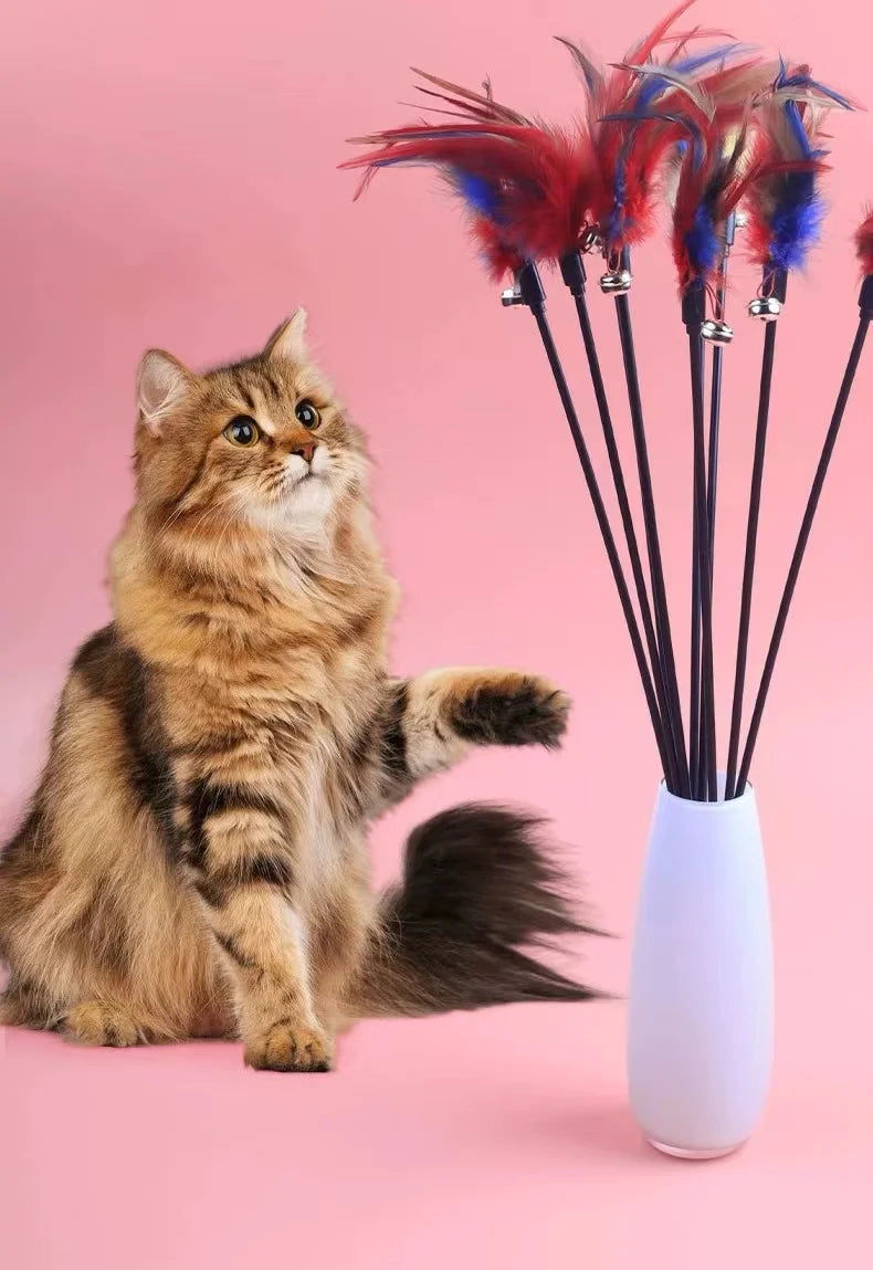 Cat Teaser Wand Feather Toy