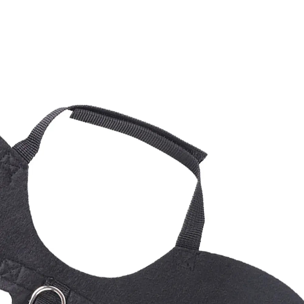 Cat Dog Bat Wings Costume Harness