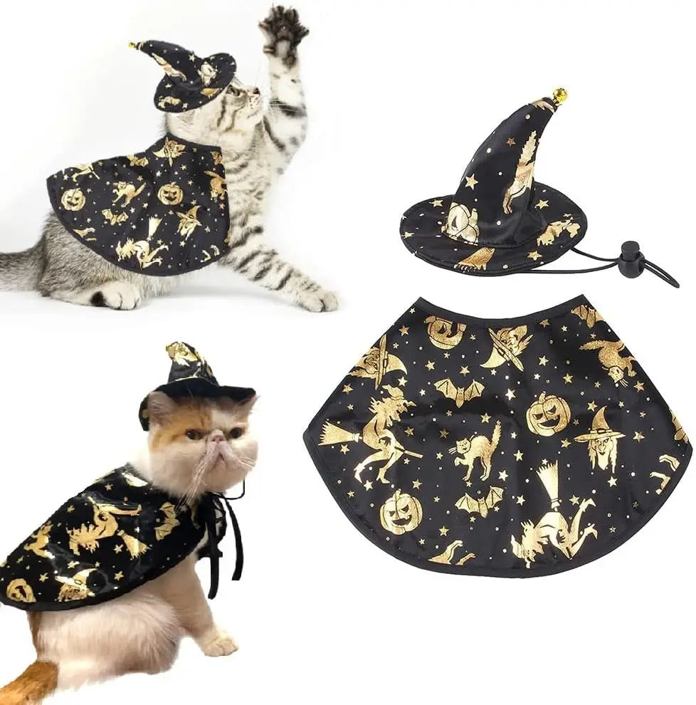 Cat Dog Witch Costume