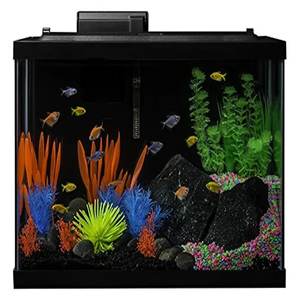 Neon Aquarium Kit Filter Lights Heater 20 Gallon