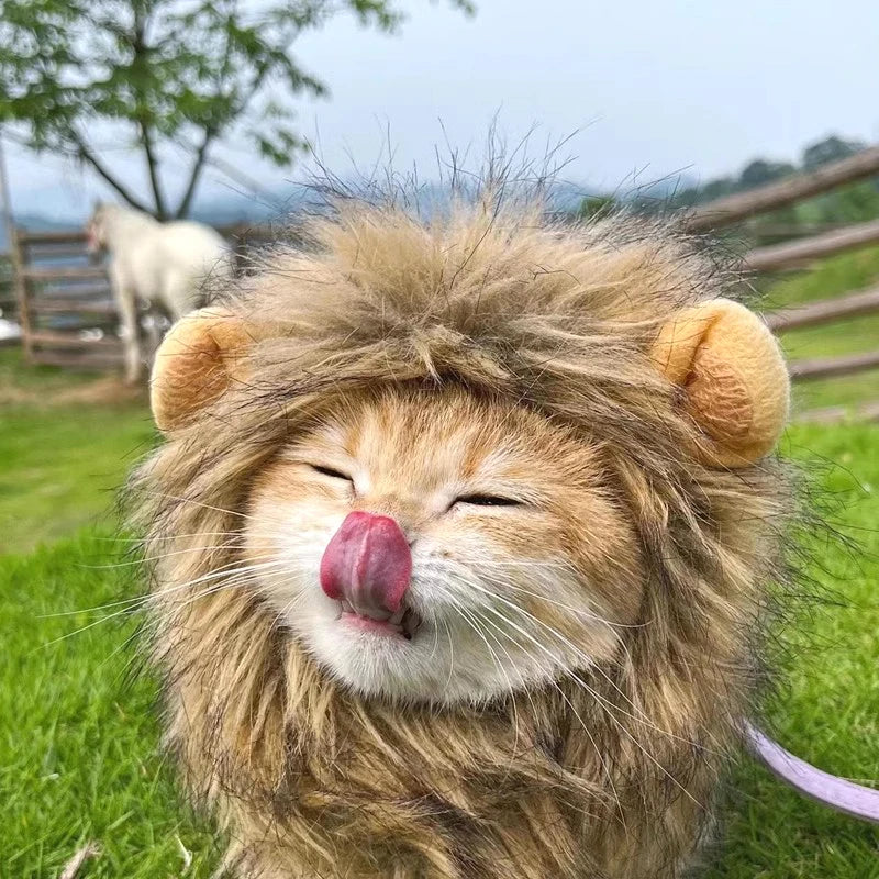 Cat Lion Mane Costume