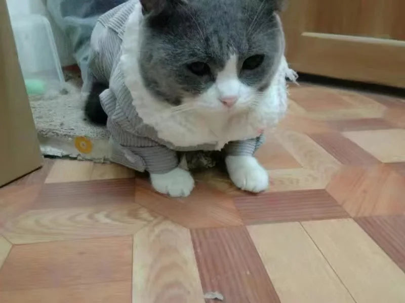 Dog Cat Winter Jacket