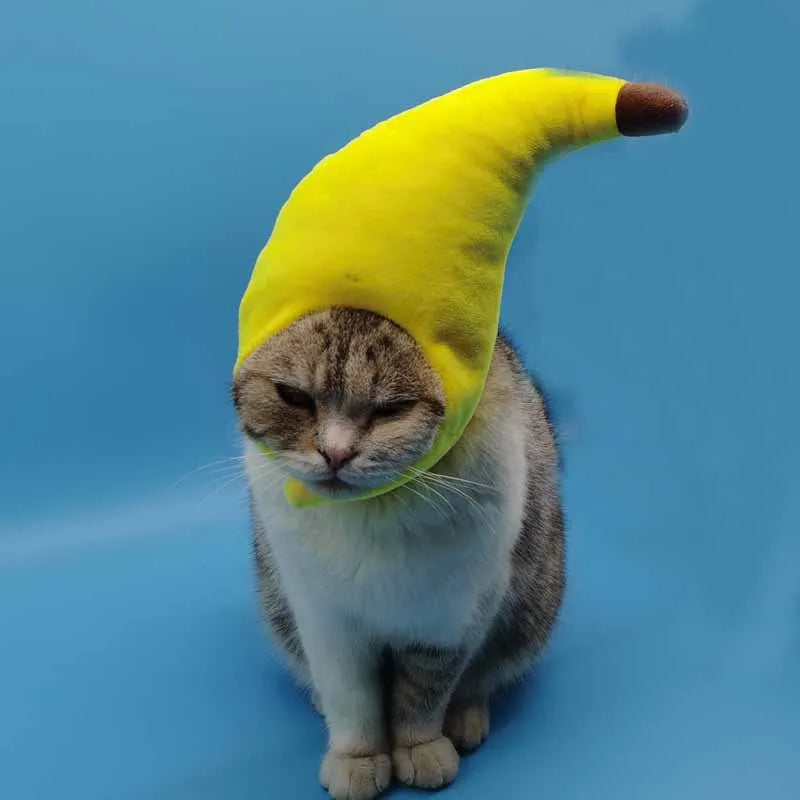 Cat Dog Banana Hat Costume