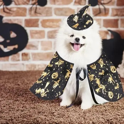 Cat Dog Witch Costume