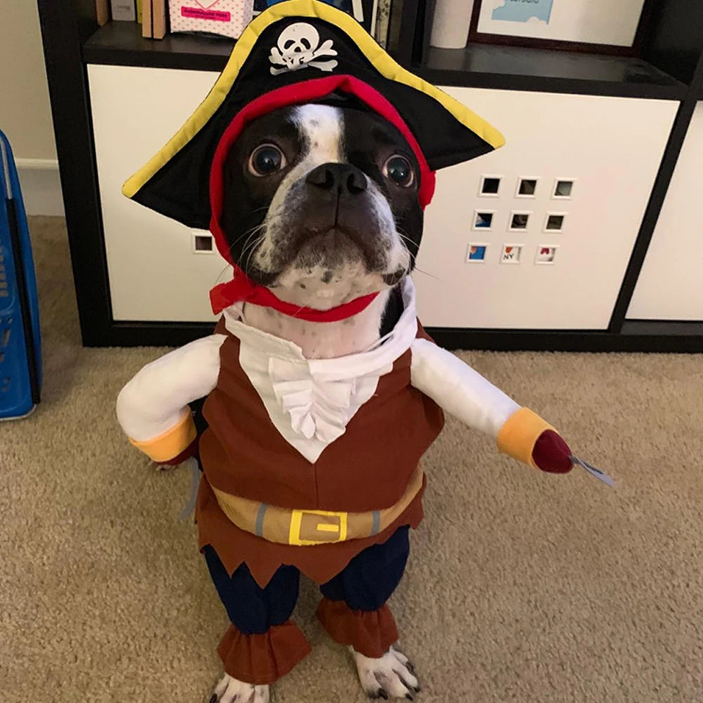 Cat Dog Halloween Pirate Costume