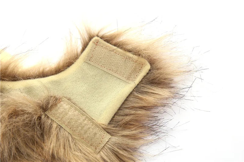 Cat Dog Lion Mane Costume