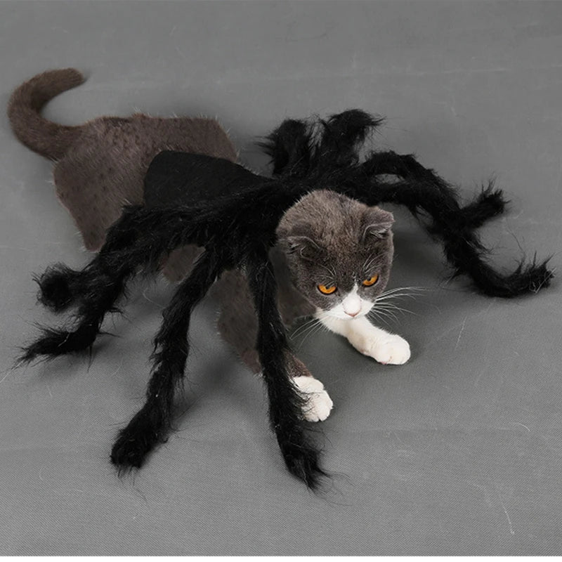 Cat Dog Spider Costume Halloween