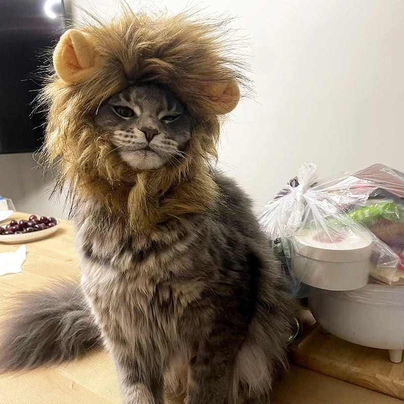 Cat Dog Lion Mane Costume