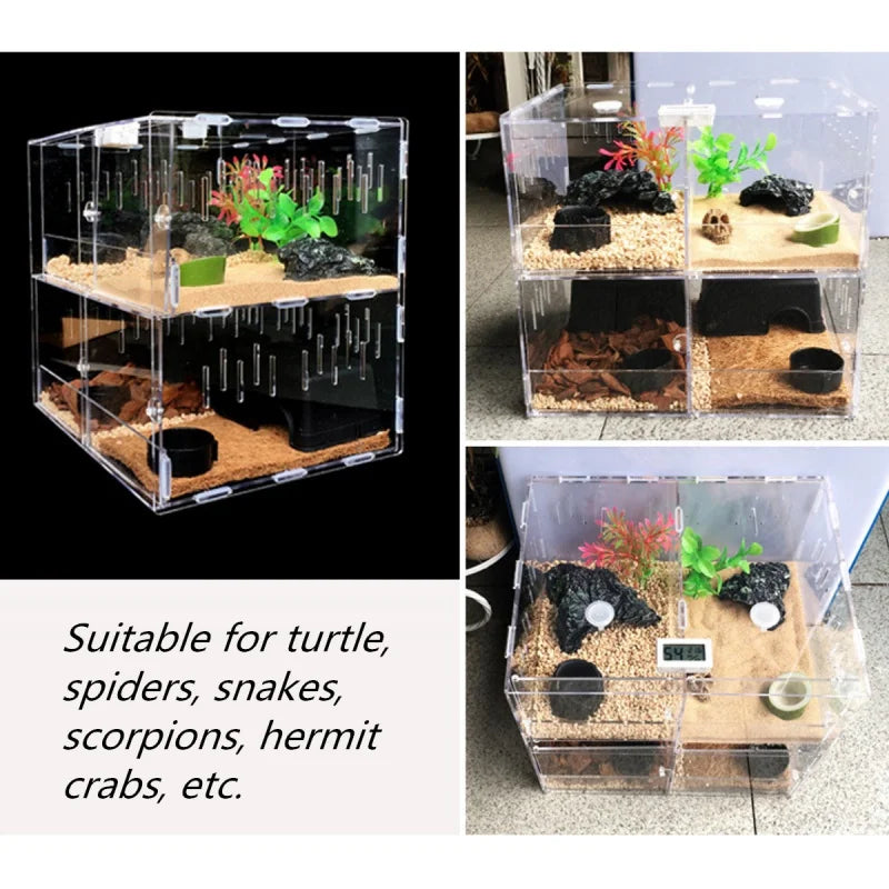 Reptile Shelter Terrarium