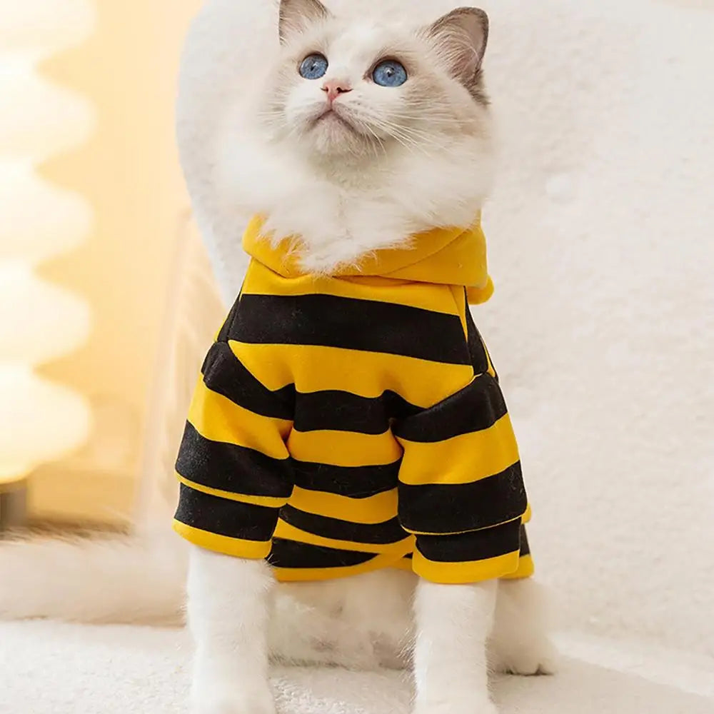 Cat Dog Bee Costume