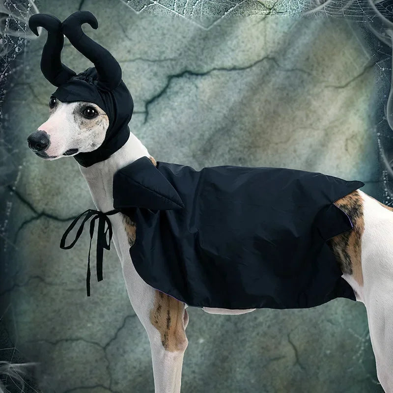 Cat Dog Maleficent Halloween Costume