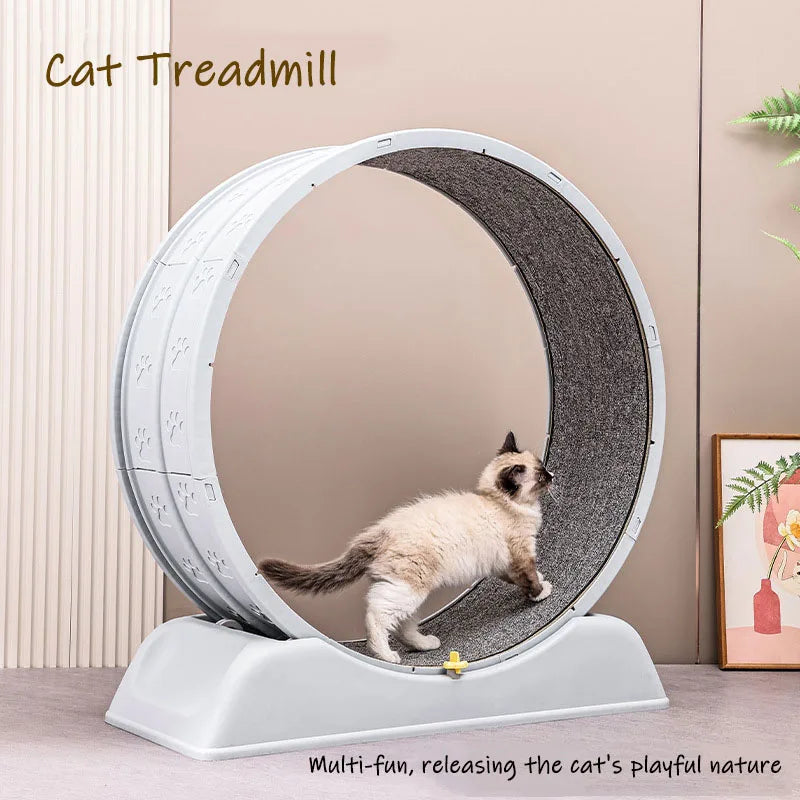 Cat Treadmill Exercise Wheel Indoor Gym