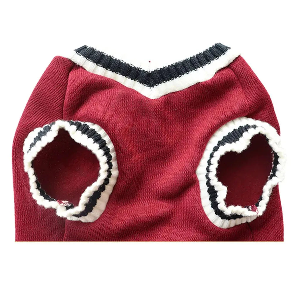 Cat Dog Winter Sweater Costume