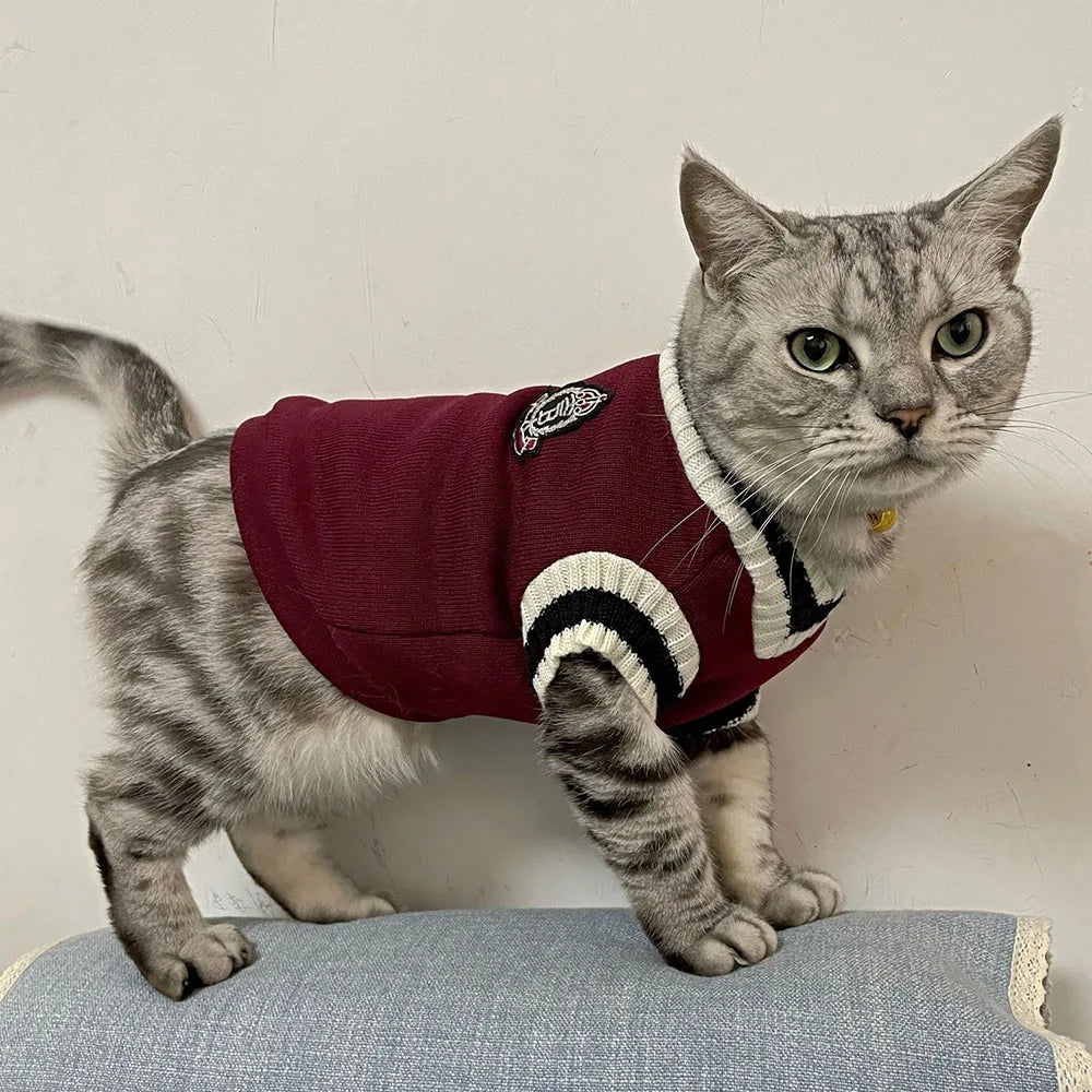 Cat Dog Winter Sweater Costume