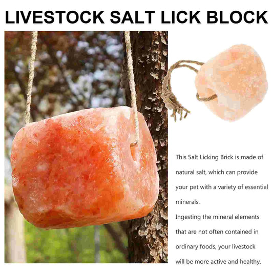 Salt Lick Safe Animals