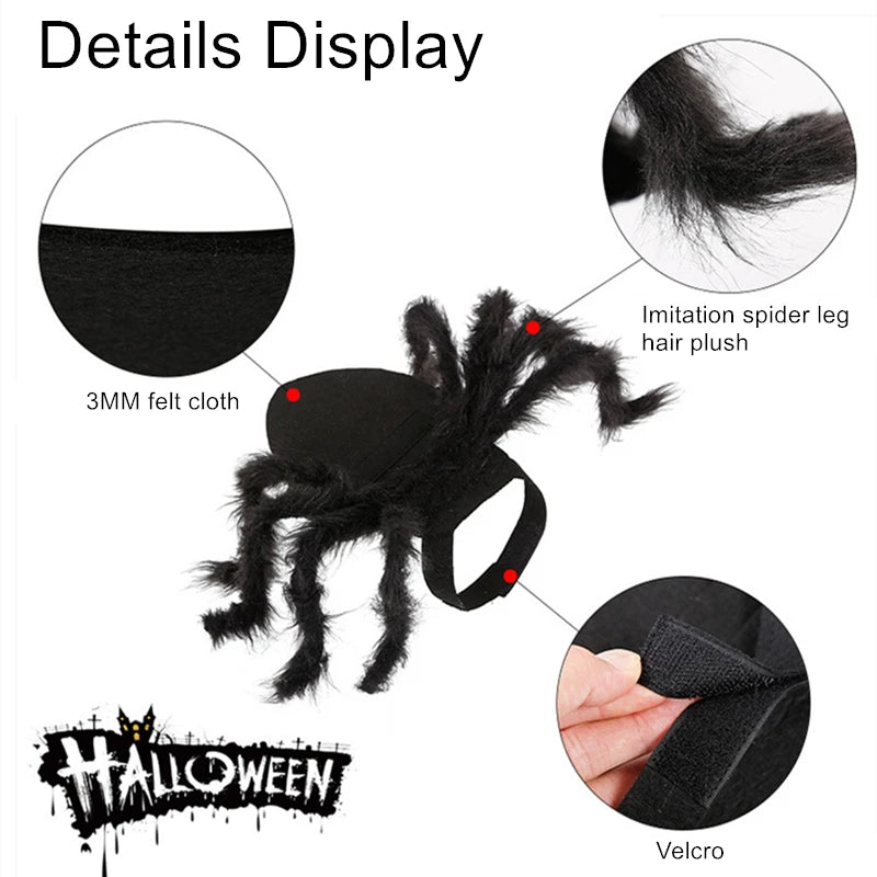 Cat Dog Spider Costume Halloween