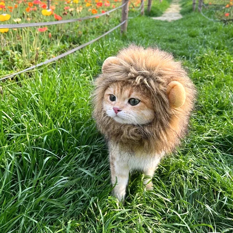 Cat Lion Mane Costume