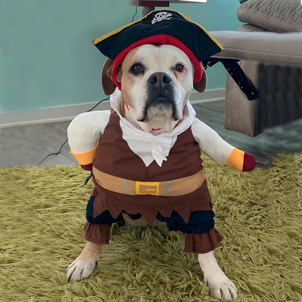 Cat Dog Halloween Pirate Costume