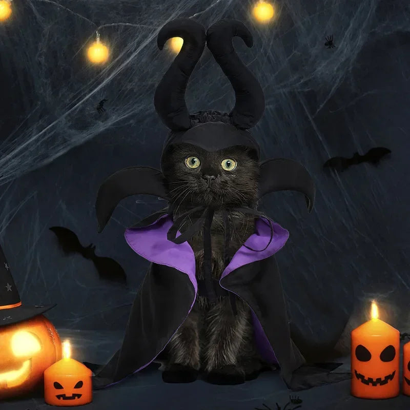 Cat Dog Maleficent Halloween Costume