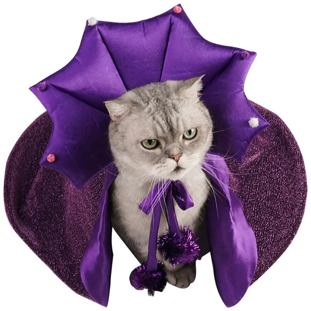 Cat Dog Vampire Cape & Witch Hat