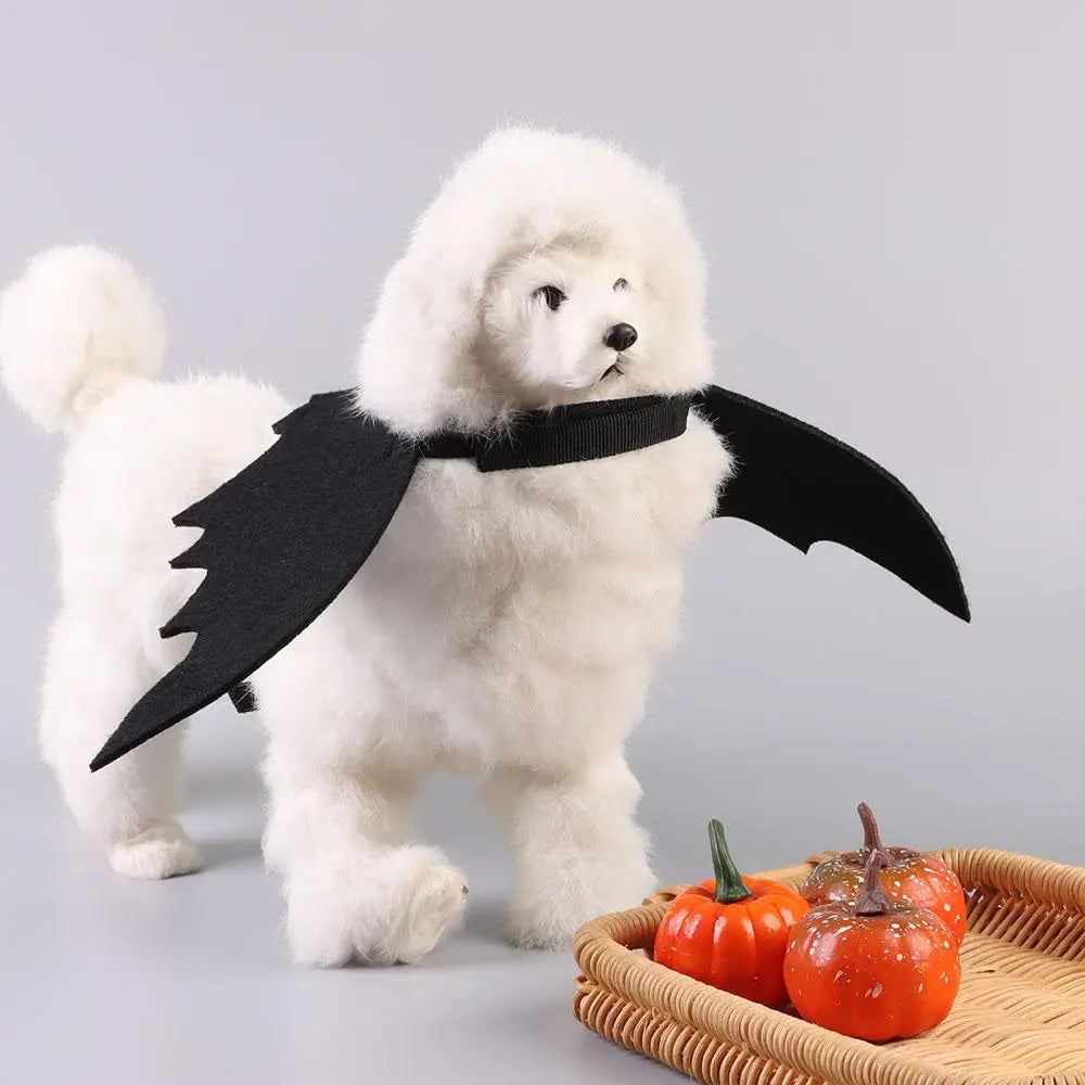 Bat wing harness for dogs best sale