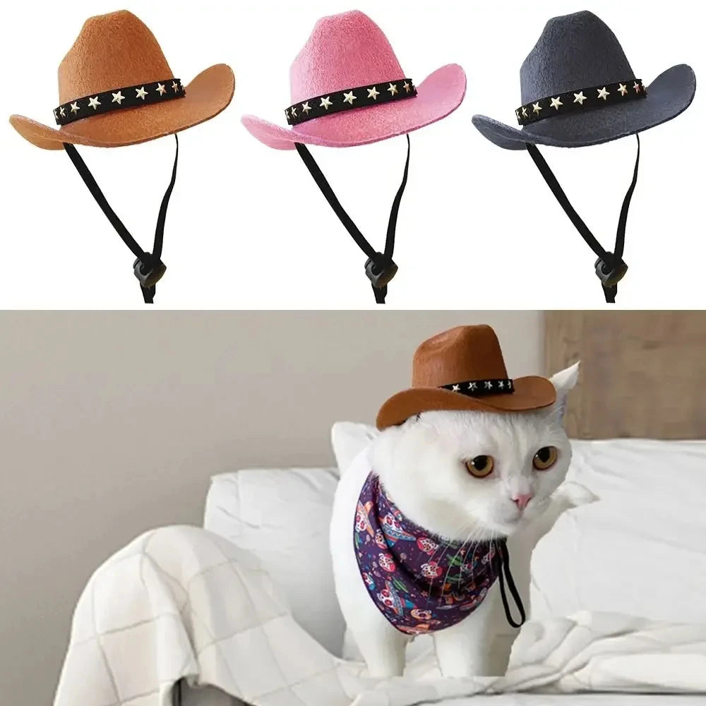 Cat Cowboy Hat Puppy