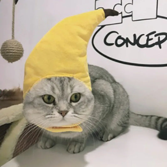 Cat Dog Banana Hat Costume