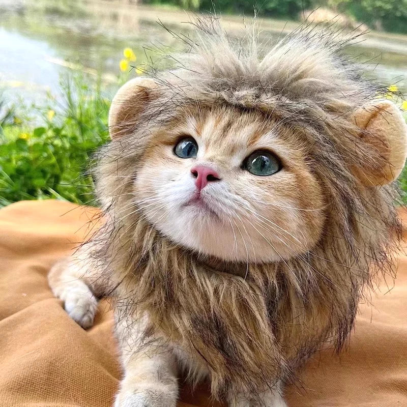 Cat Lion Mane Costume