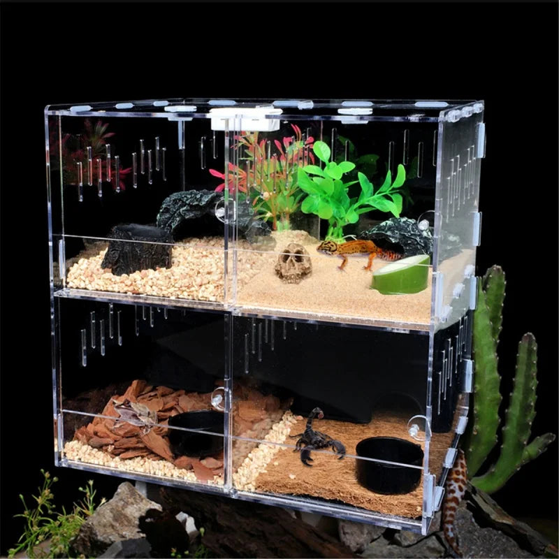 Reptile Shelter Terrarium