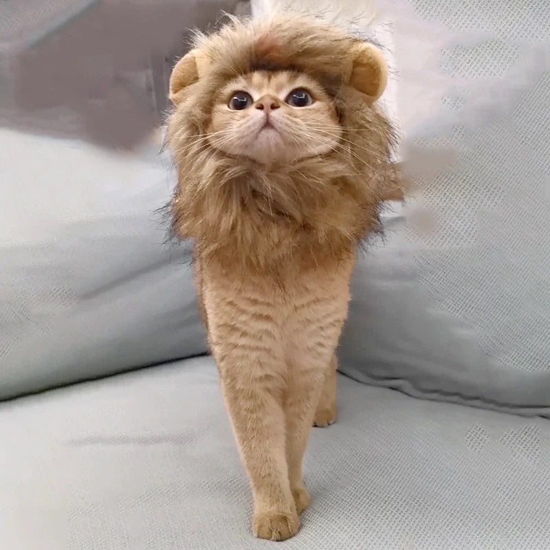 Cat Lion Mane Costume