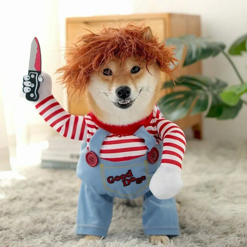 Dog Cat Chucky Costume