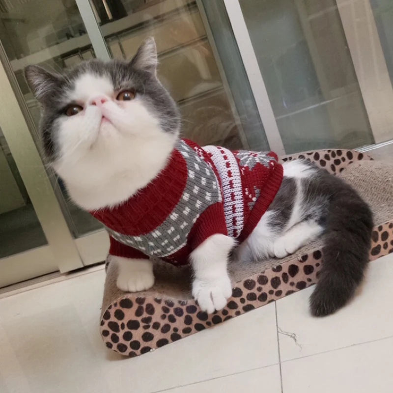 Cat Dog Winter Sweaters