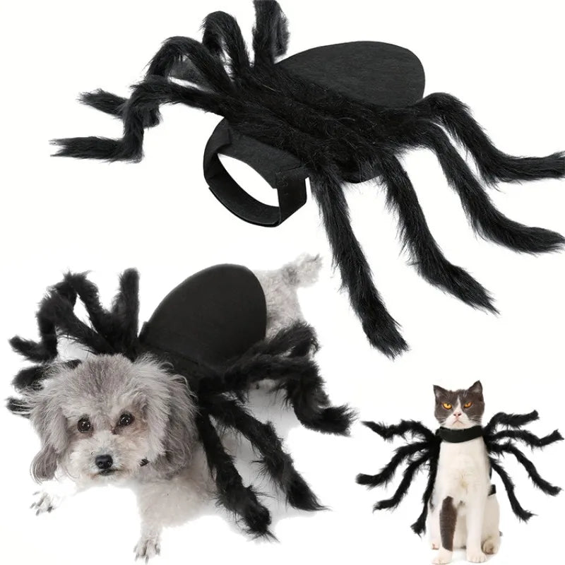 Cat Dog Spider Costume Halloween